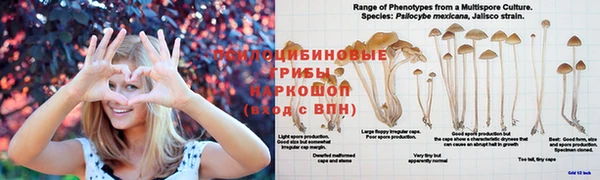 кокаин Белоозёрский