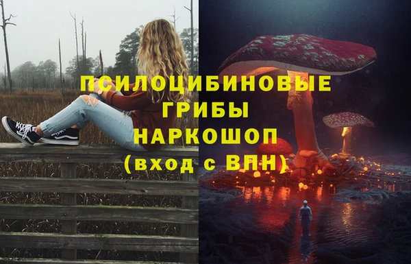 дмт Беломорск