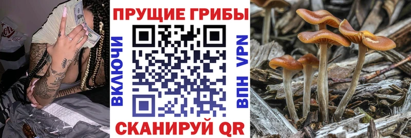 Галлюциногенные грибы Psilocybine cubensis  mega зеркало  Окуловка 